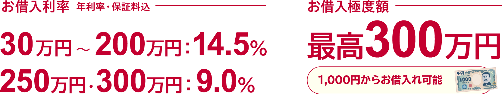 ご融資利率年利率・保証料込→30万円～200万円：14.5% 250万円・300万円：9.0%／お借入極度額→最高300万円 1,000円からお借入れ可能