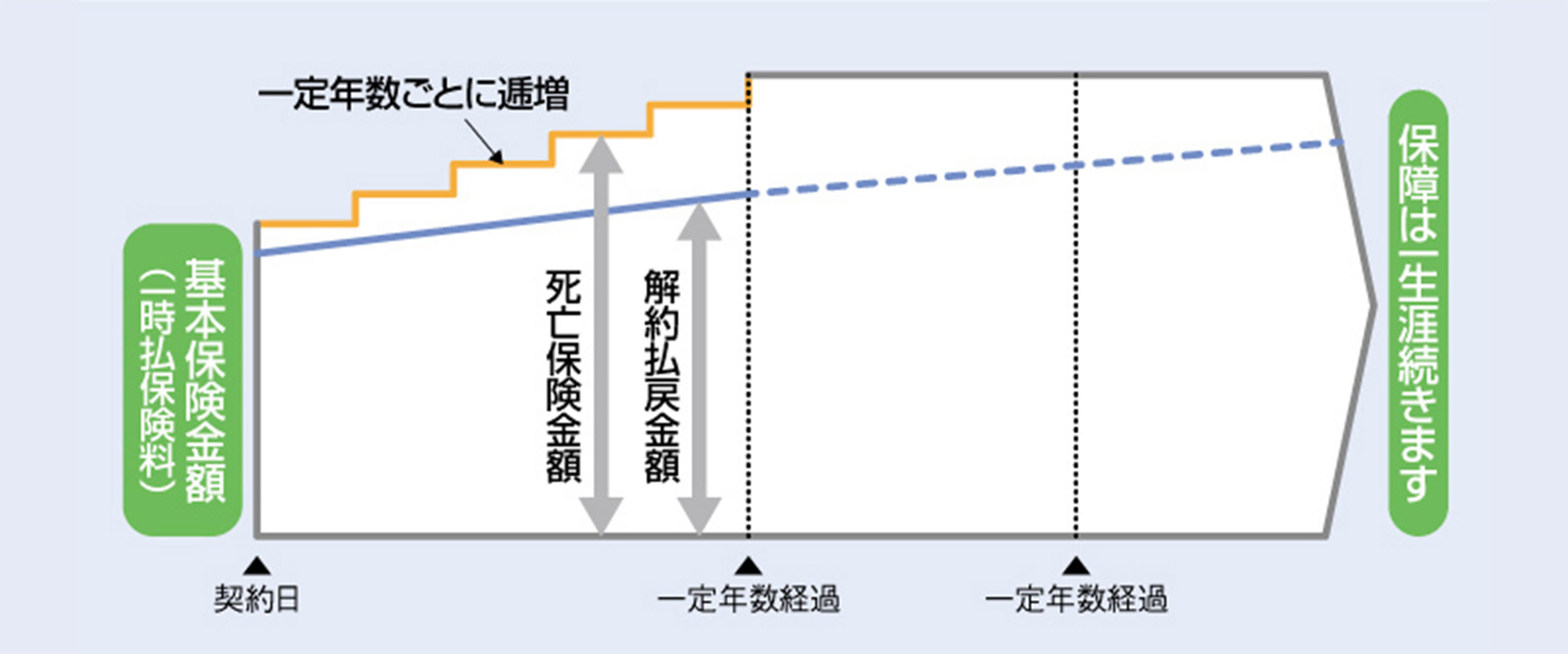 一時払型終身保険のしくみ