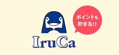 IruCa付一体型のご契約もあります